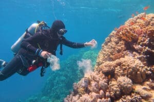 diver collecting plastic garbage from around a coral reef in Texas