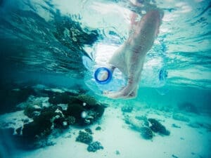 close up of hand collecting plastic bottle from the ocean